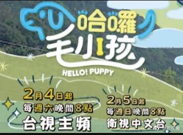 哈啰！毛小孩海报