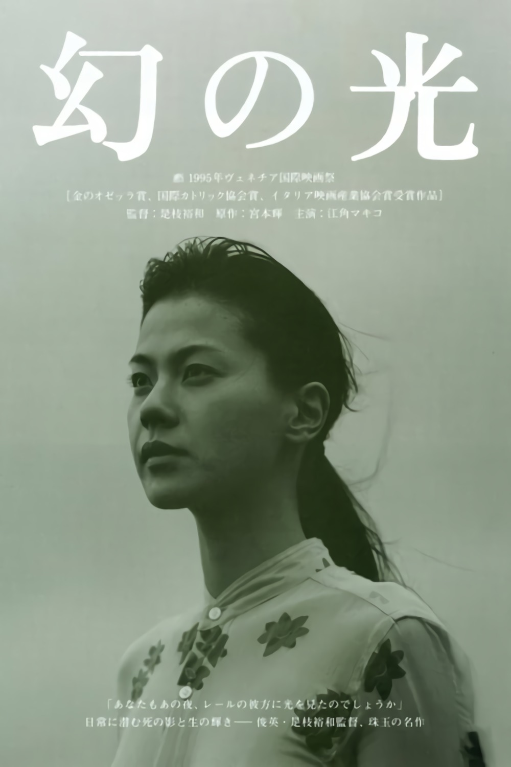 幻之光海报