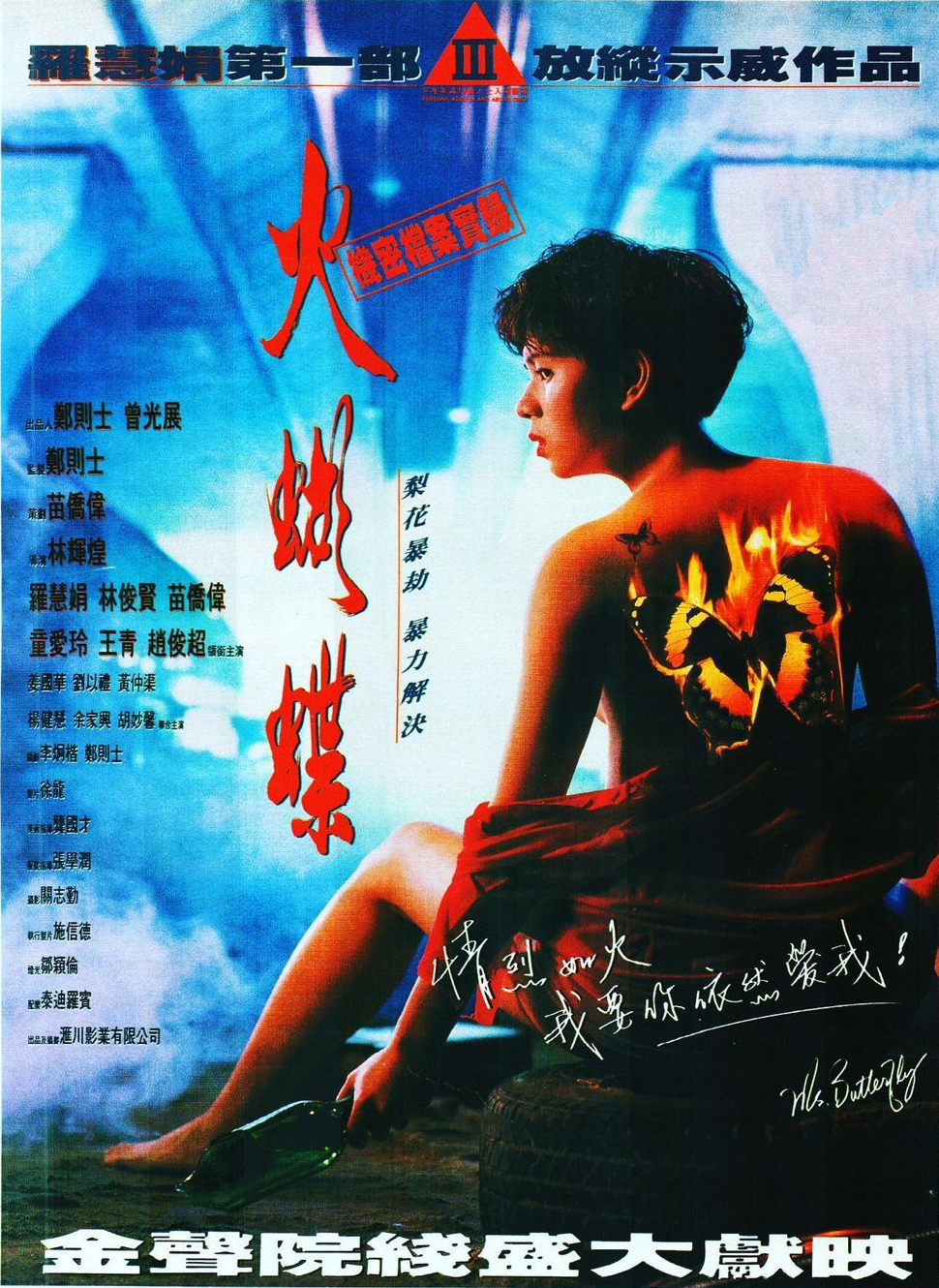 机密档案实录火蝴蝶海报