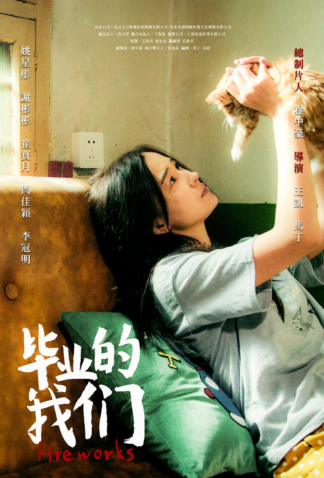 毕业的我们海报