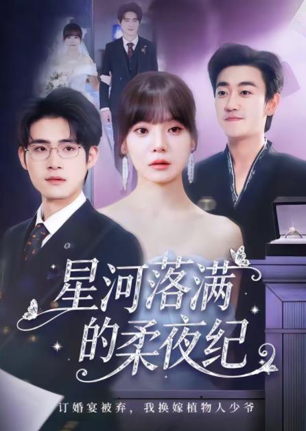 星河落满的柔夜纪海报