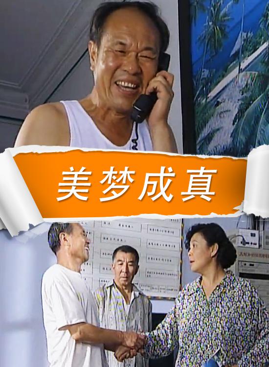 美梦成真2009海报