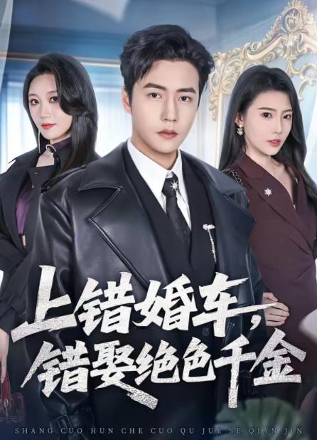 上错婚车，错娶绝色千金海报