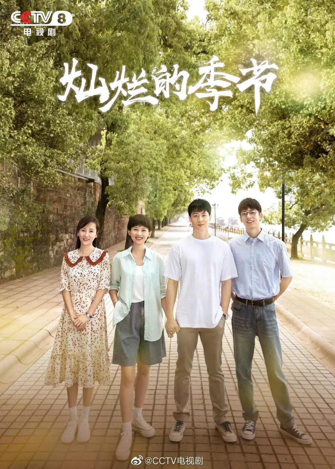 灿烂的季节2022海报