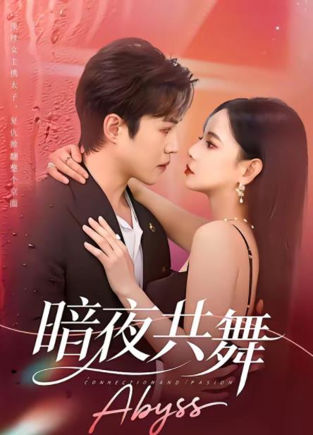 暗夜共舞海报