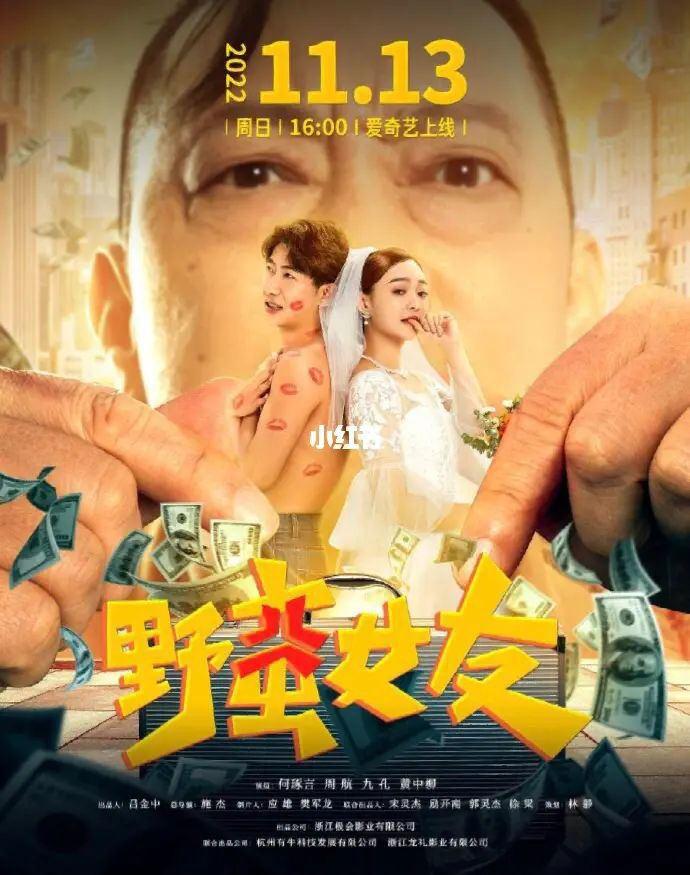 野蛮女友海报