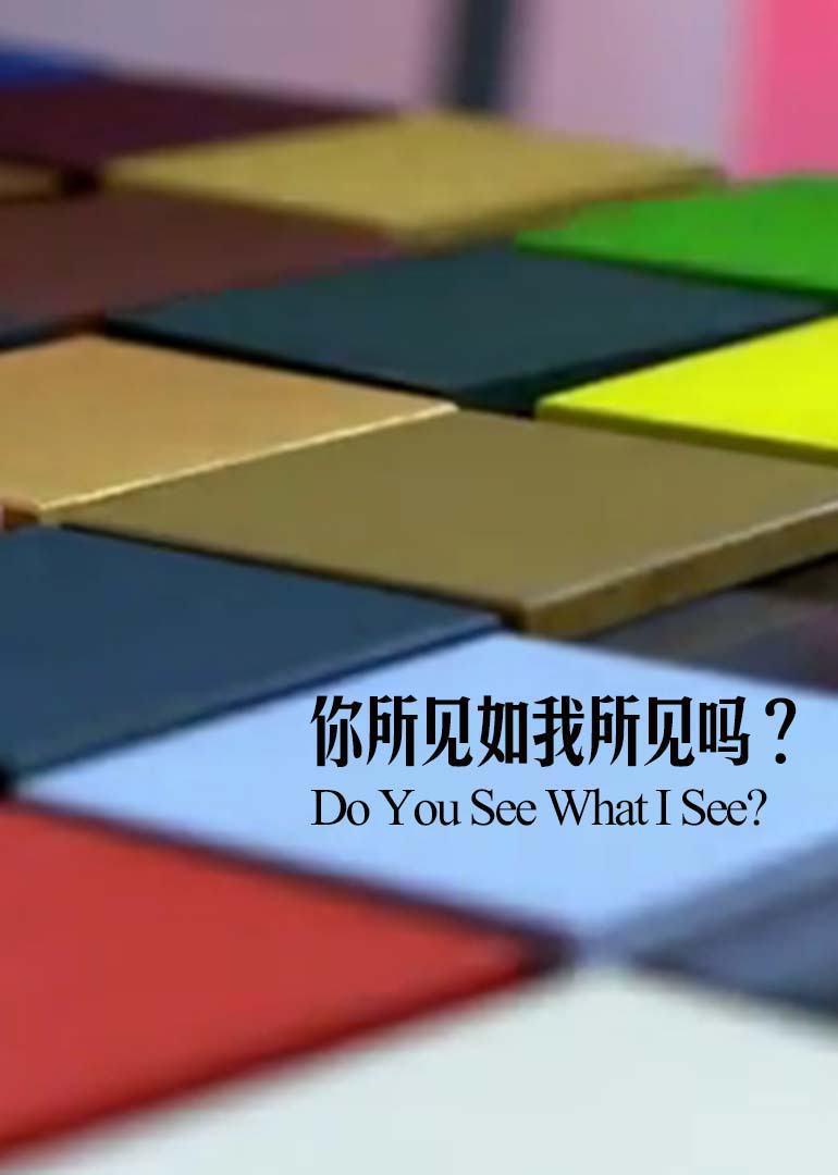 你所见如我所见吗海报