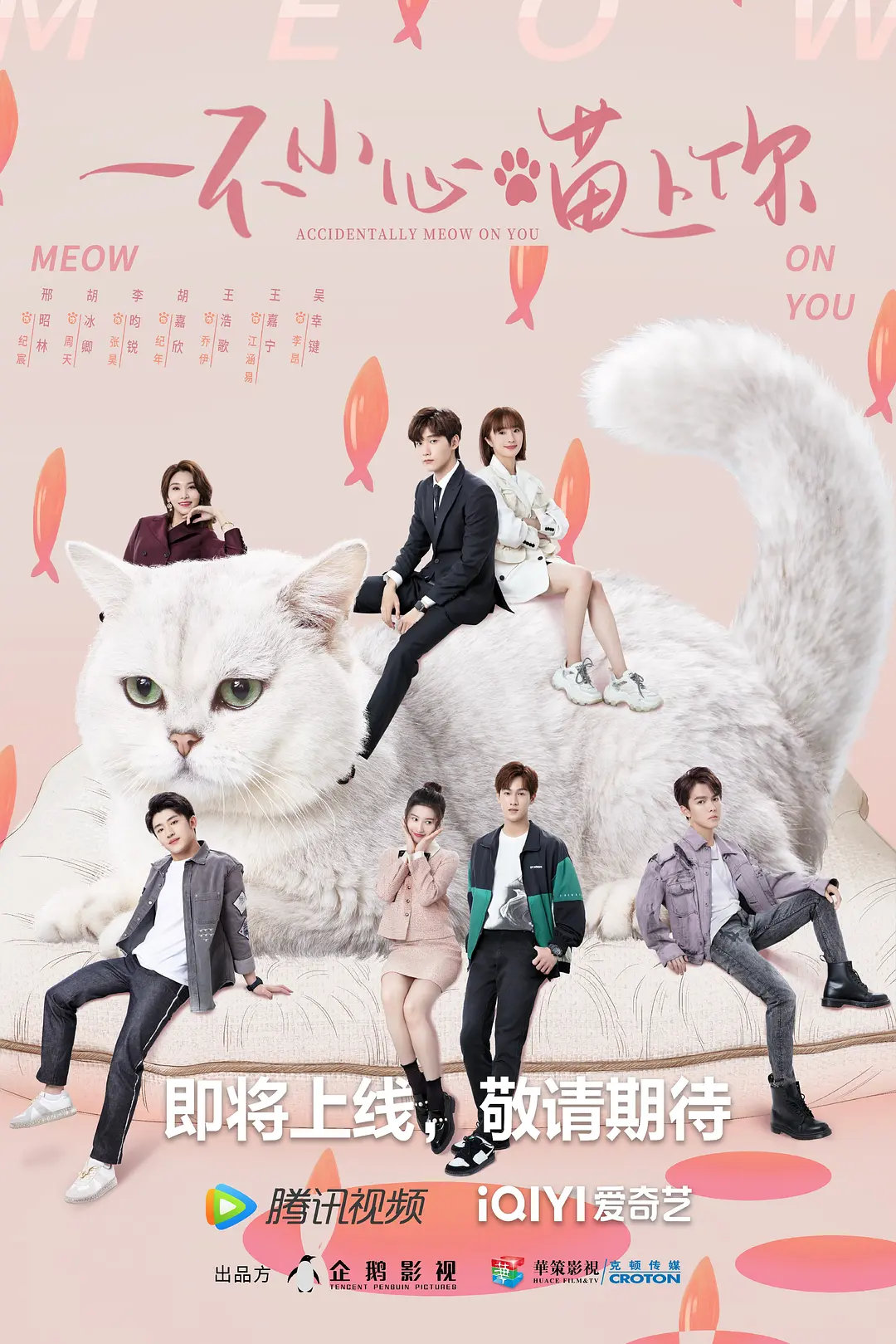 一不小心喵上你海报