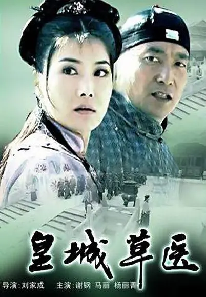 岭南药侠海报