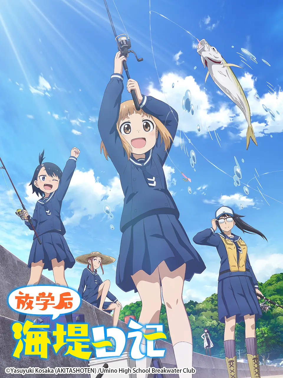 放学后海堤日记海报