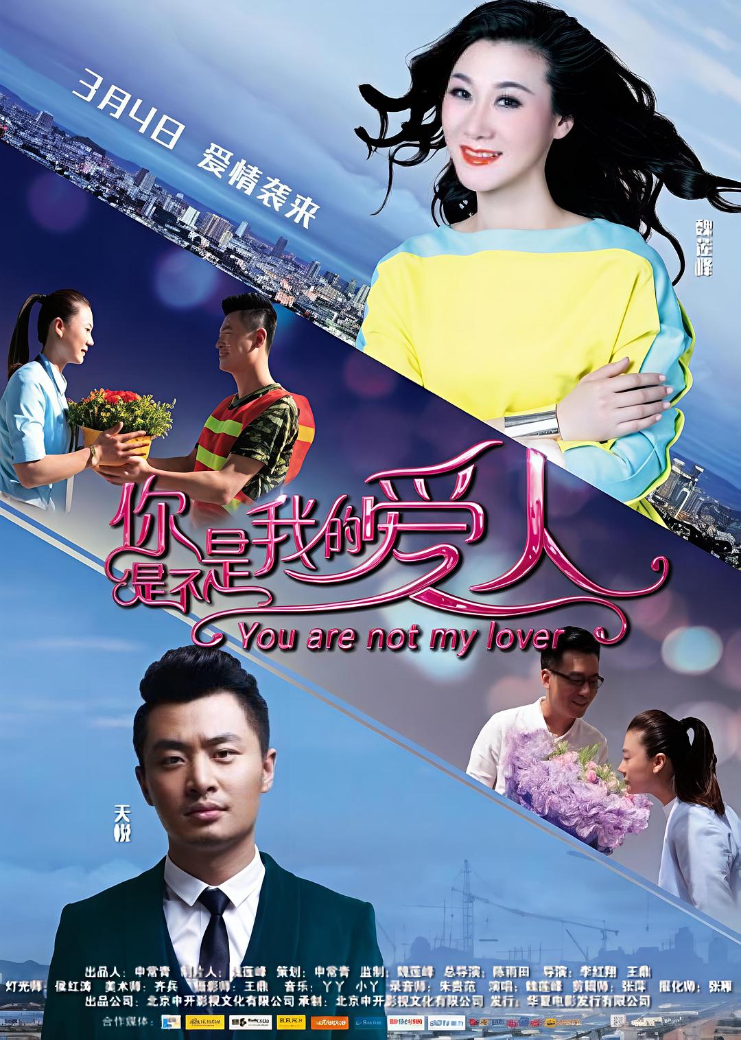 你是不是我的爱人海报