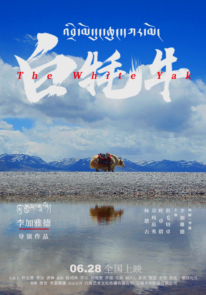 白牦牛海报