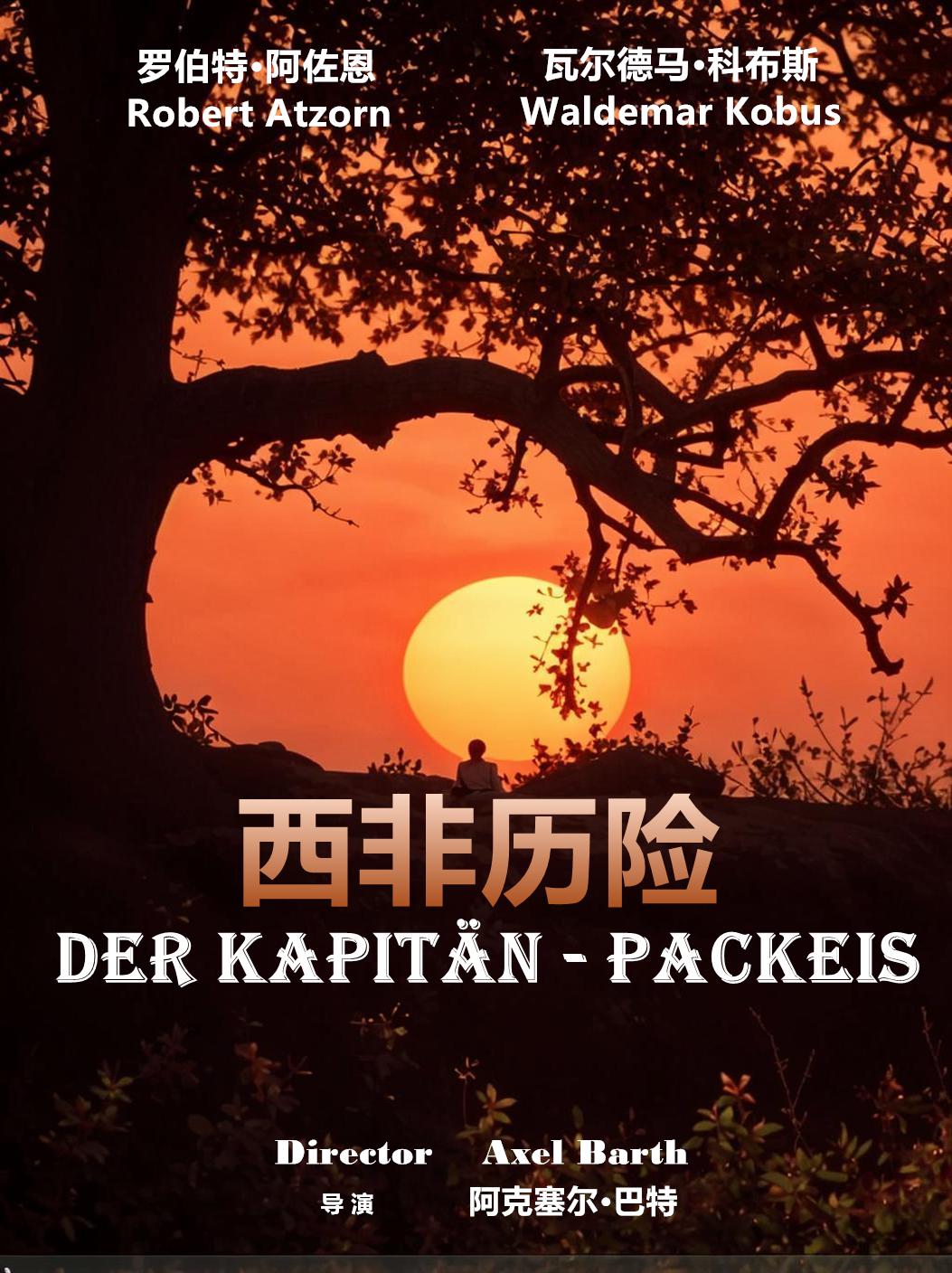西非历险海报