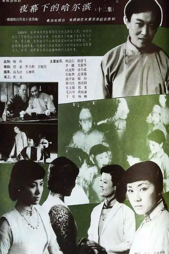夜幕下的哈尔滨海报