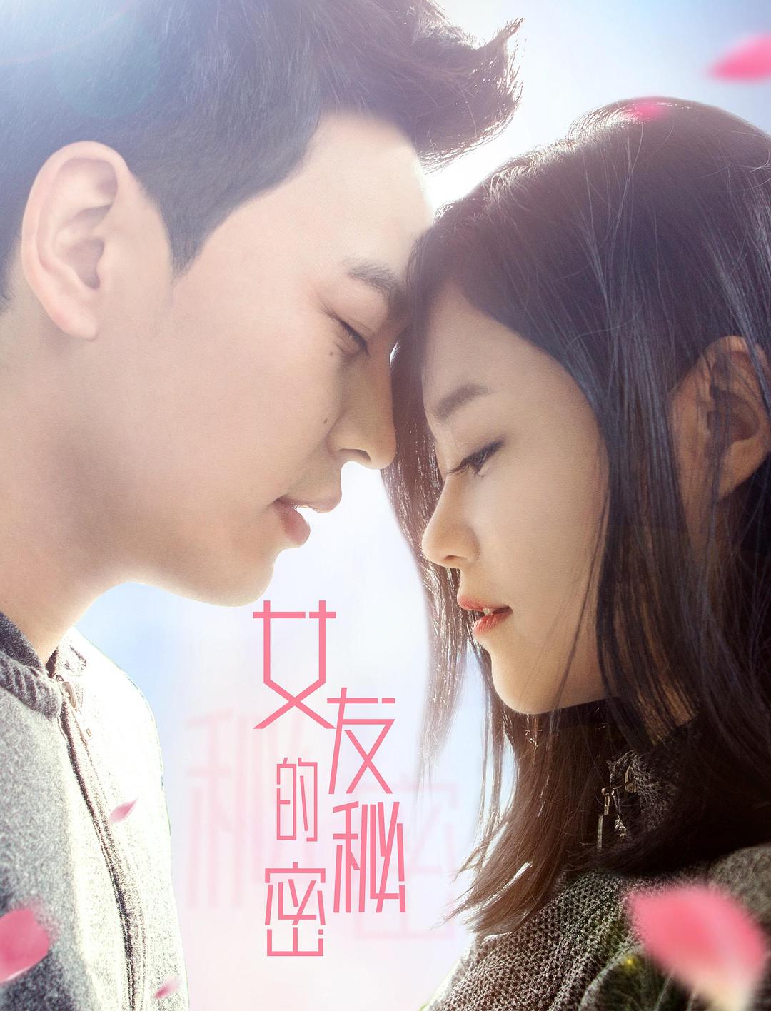 女友的秘密海报