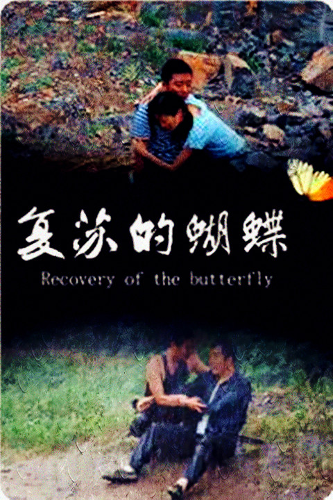 复苏的蝴蝶海报