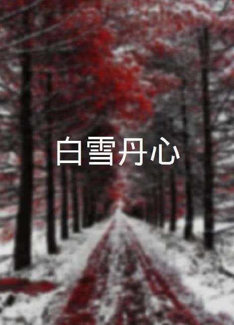 白雪丹心海报