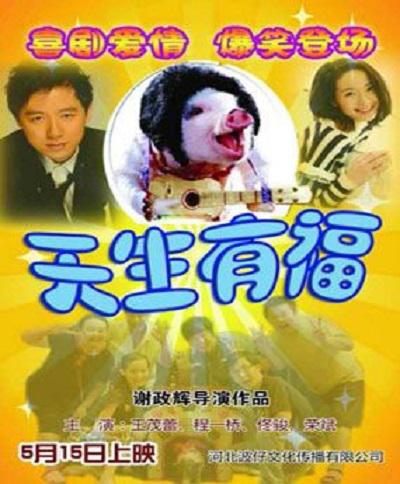 天生有福海报
