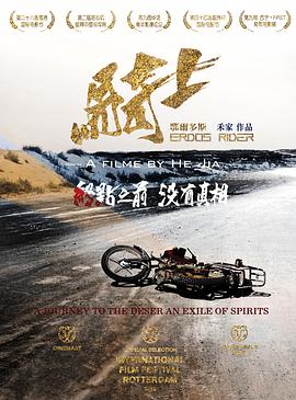 鄂尔多斯骑士海报