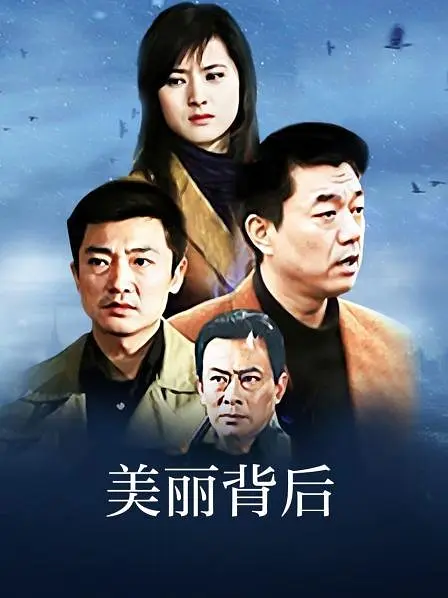 美丽背后海报