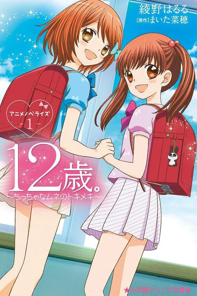 12岁：小小胸口的怦然心动第2季海报