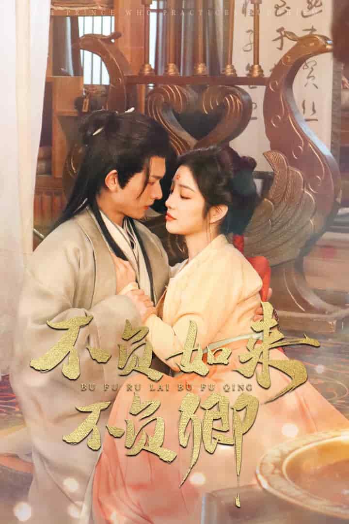 不负如来不负卿海报