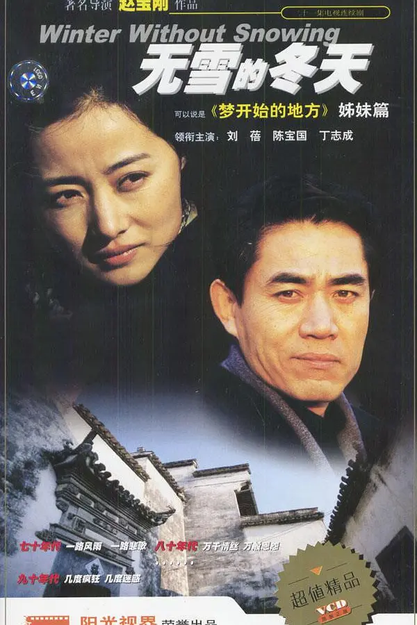 无雪的冬天海报