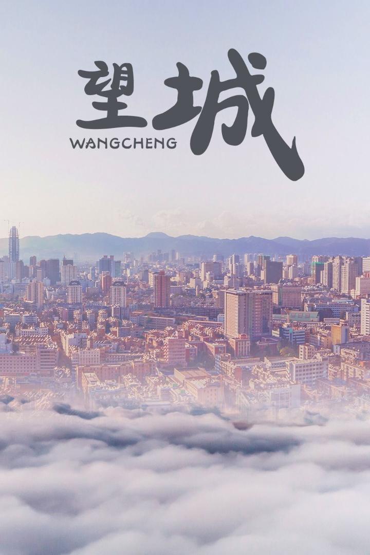 望城海报