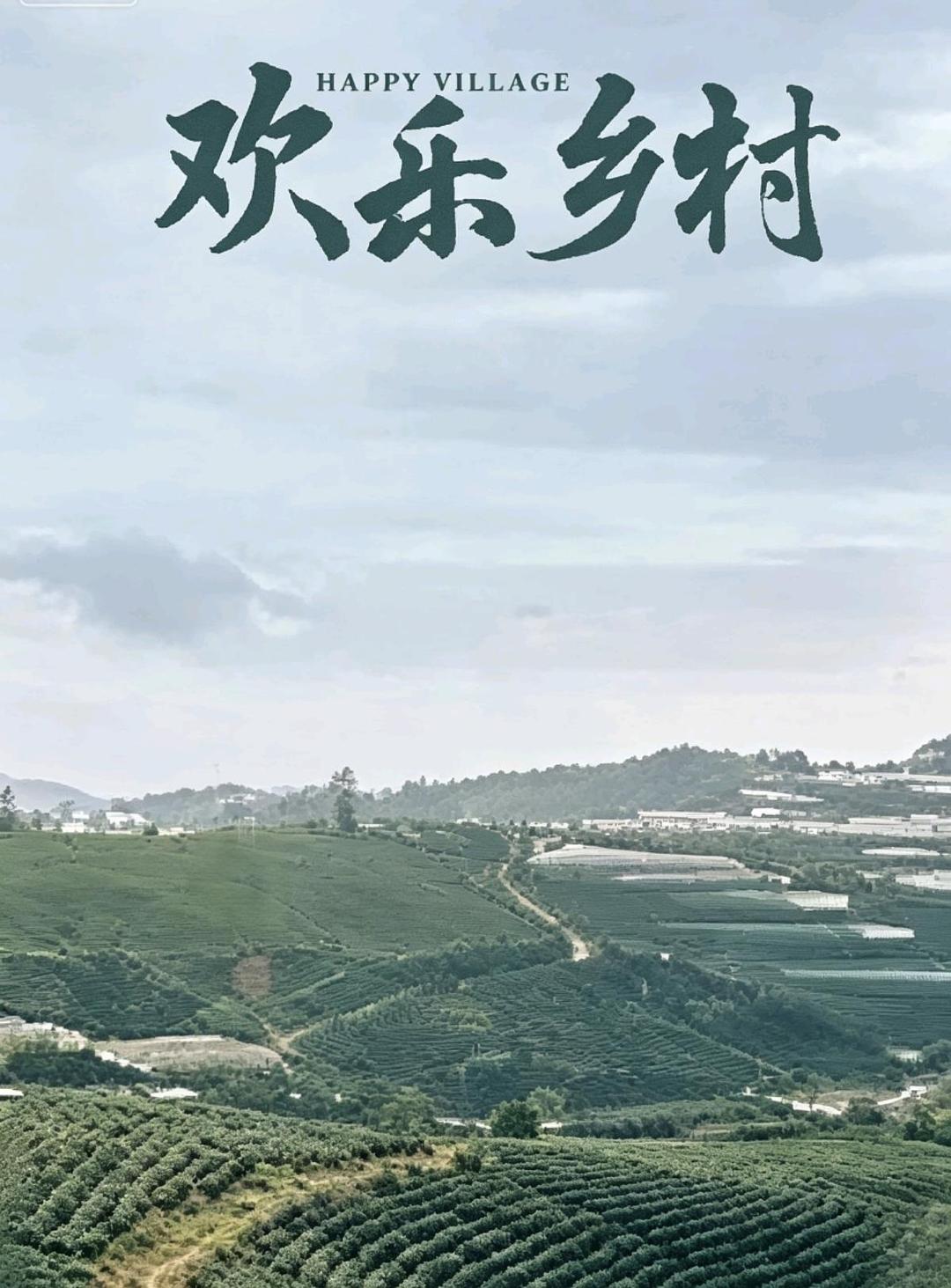 欢乐乡村海报