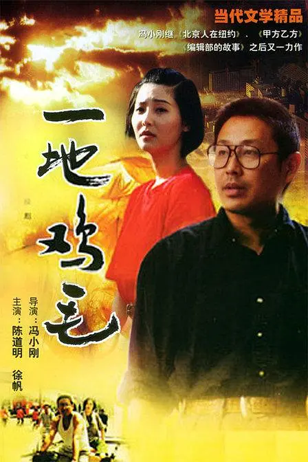 一地鸡毛海报