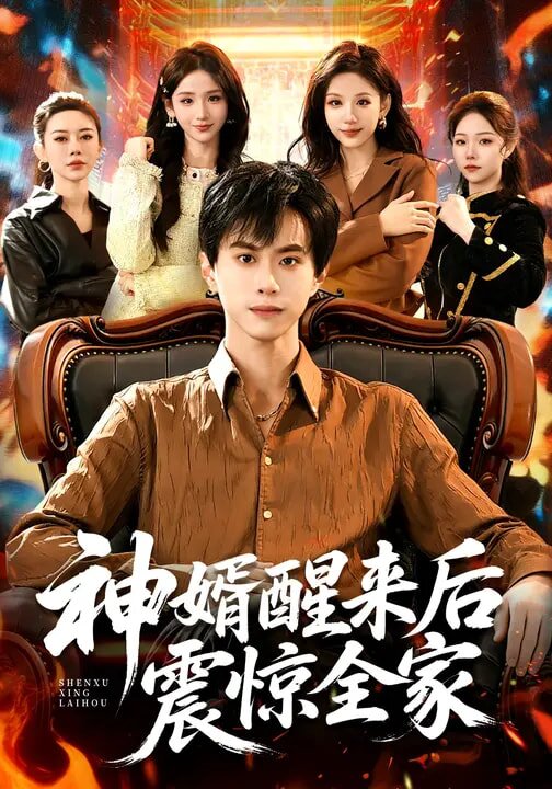 神婿醒来后震惊全家海报