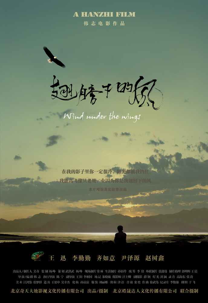 翅膀下的风海报
