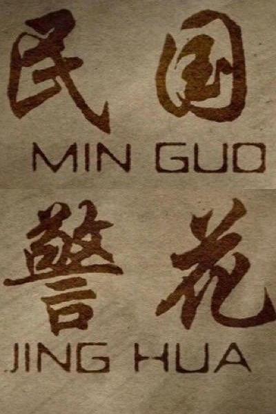 民国警花海报