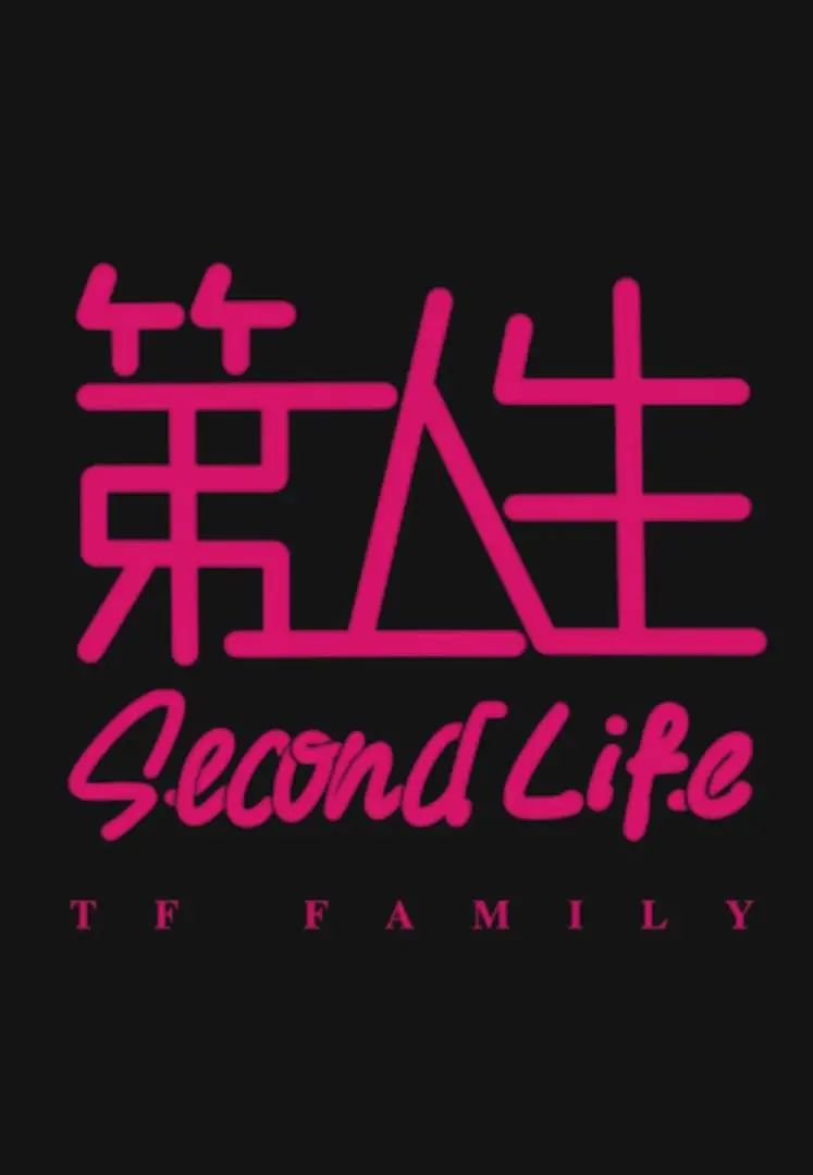 第二人生粤语海报