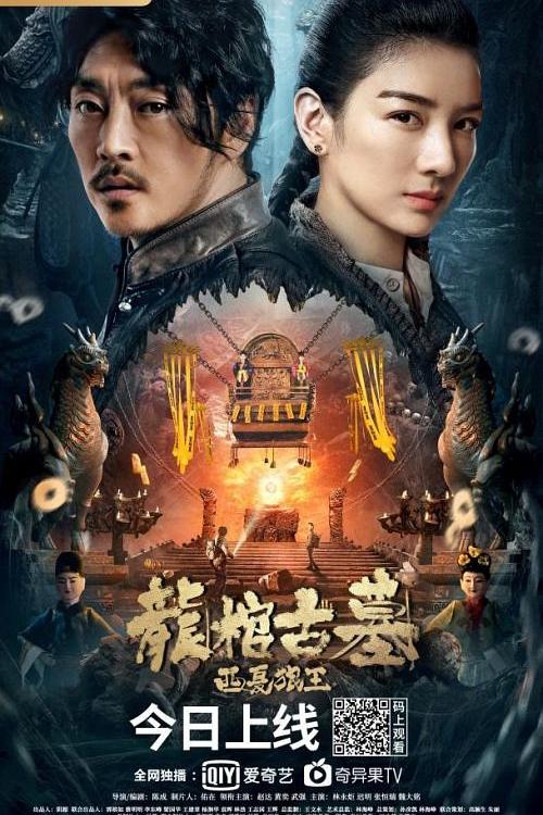 龙棺古墓：西夏狼王海报