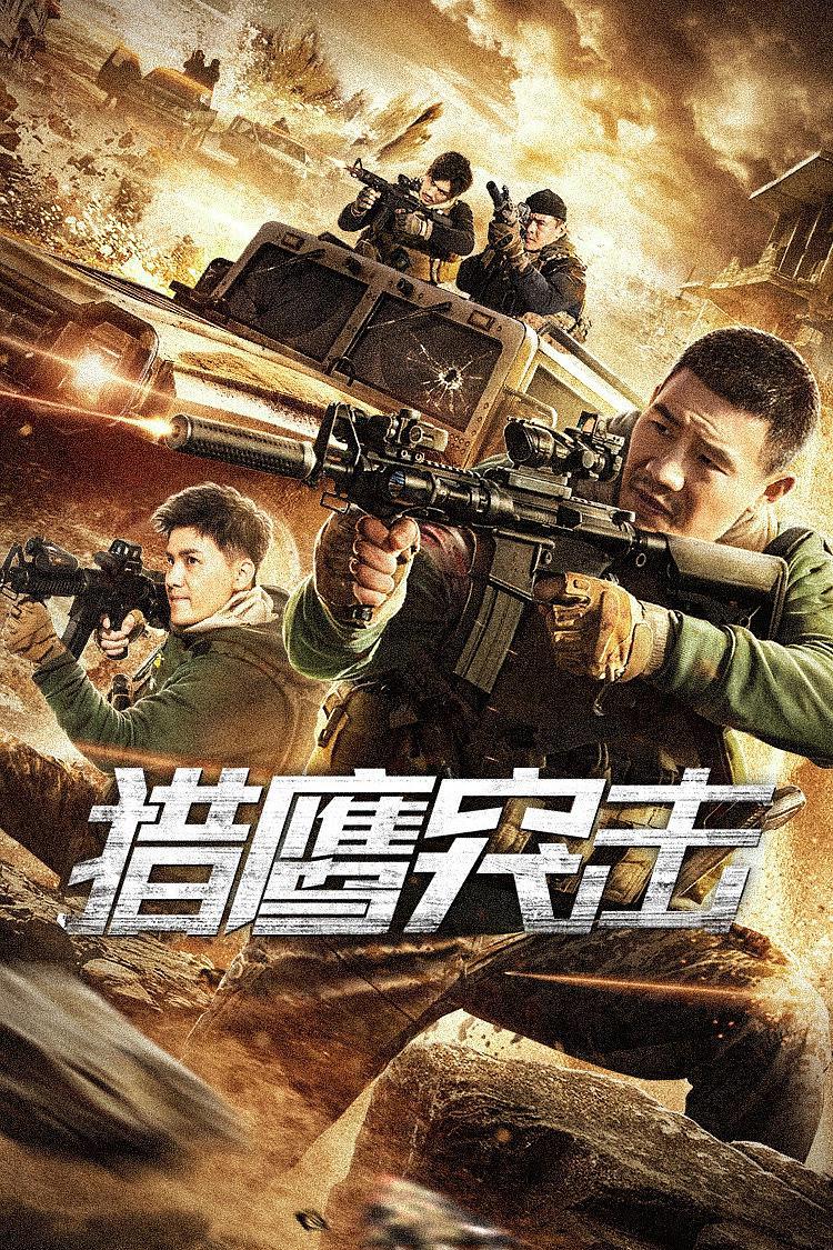 猎鹰突击海报