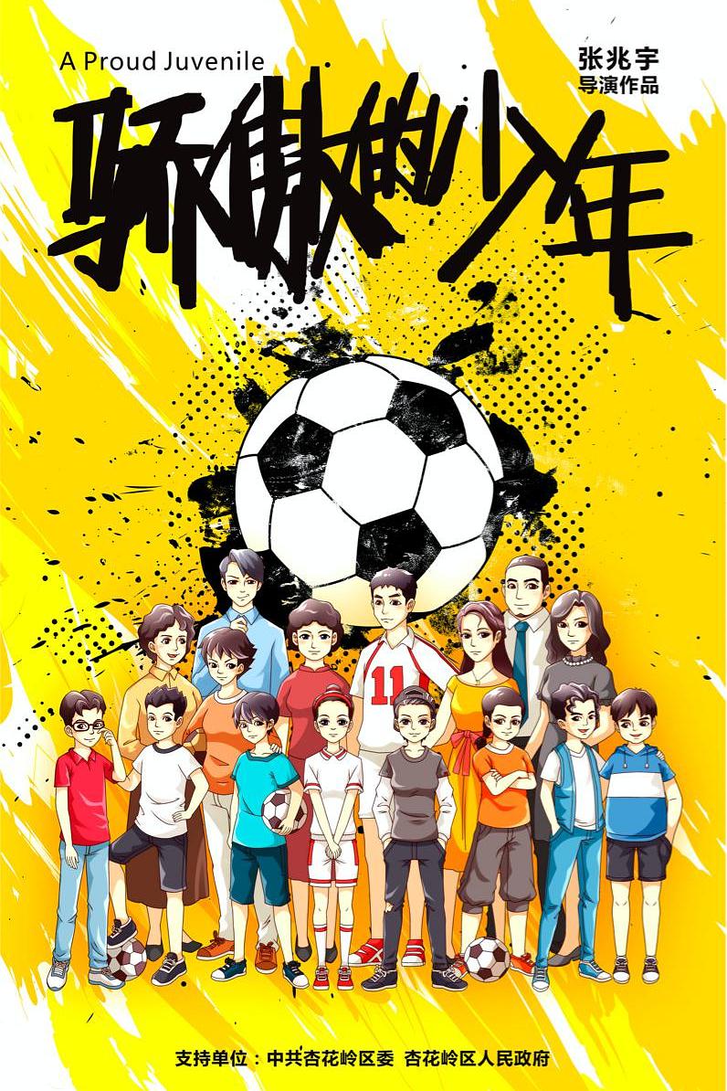 骄傲的少年海报