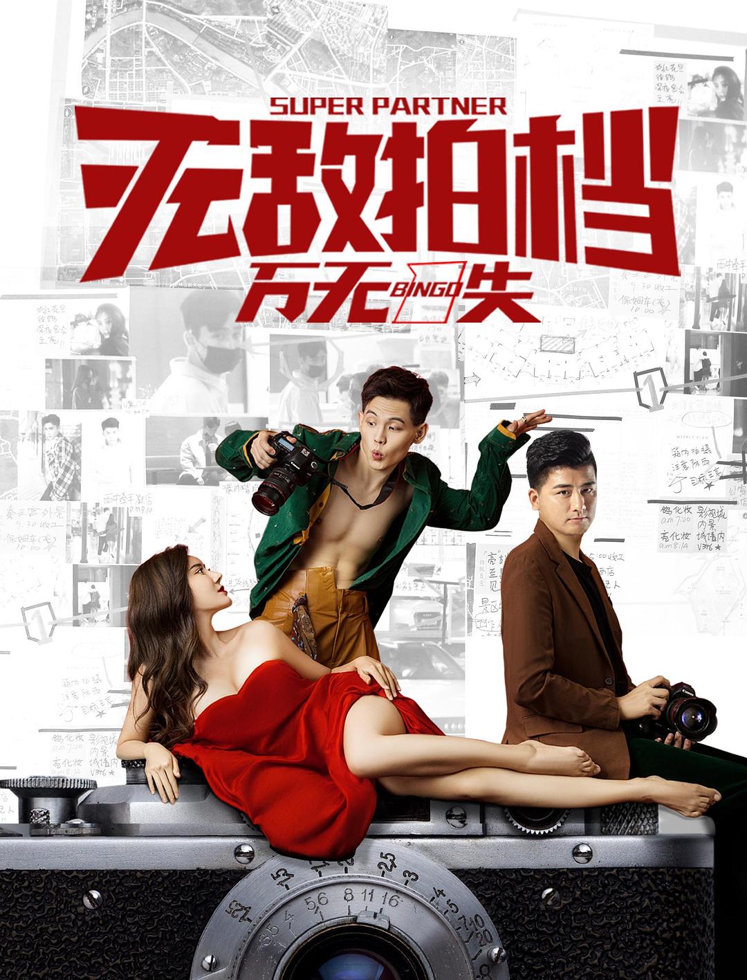 无敌拍档之万无一失海报