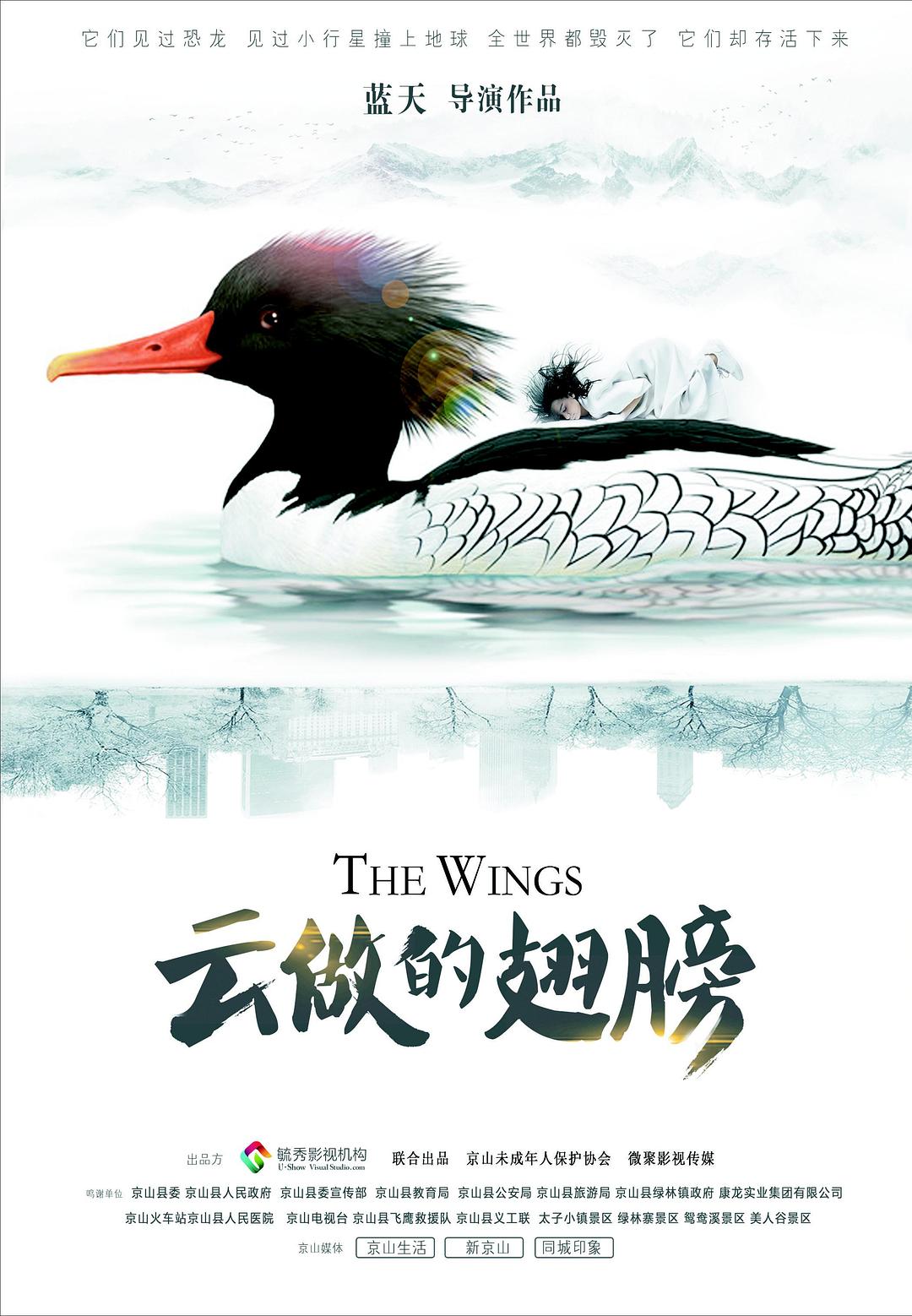 云做的翅膀海报