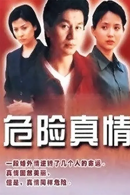 危险真情海报