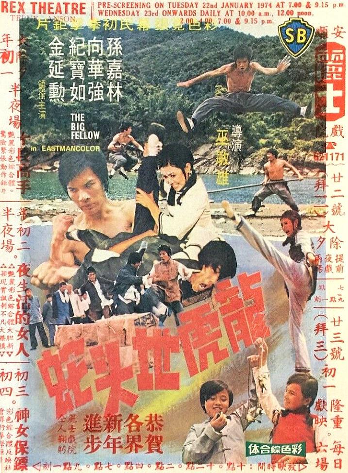 龙虎地头蛇海报