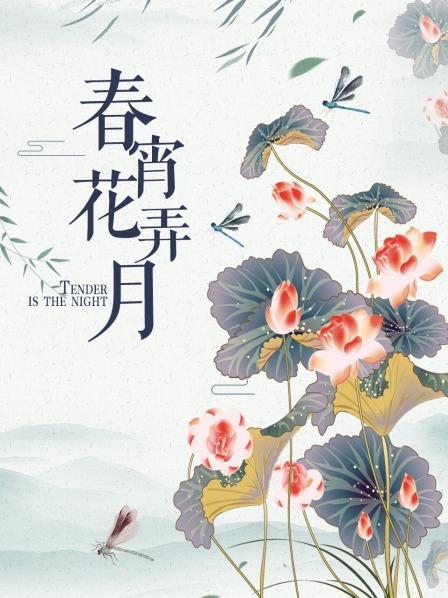 春宵花弄月海报