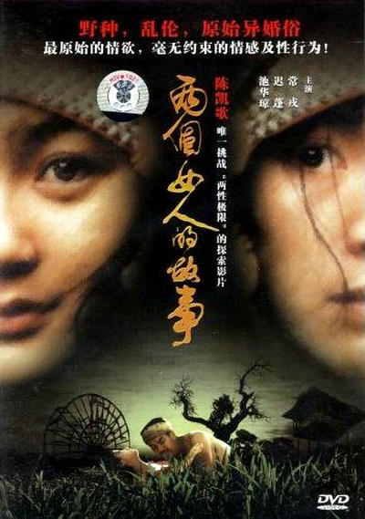两个女人的故事海报