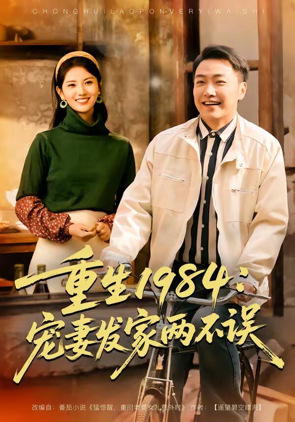 重生1984：宠妻发家两不误海报