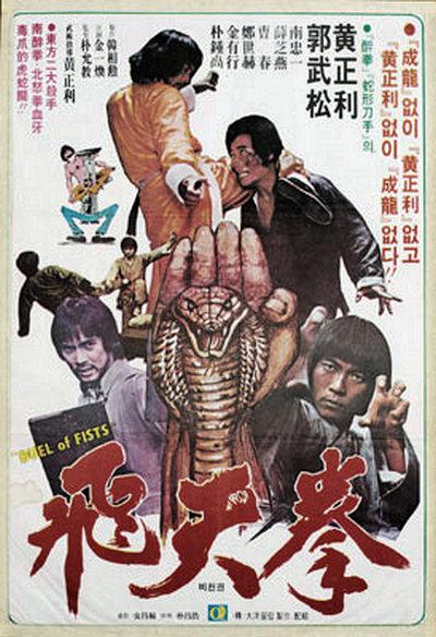 飞天拳海报