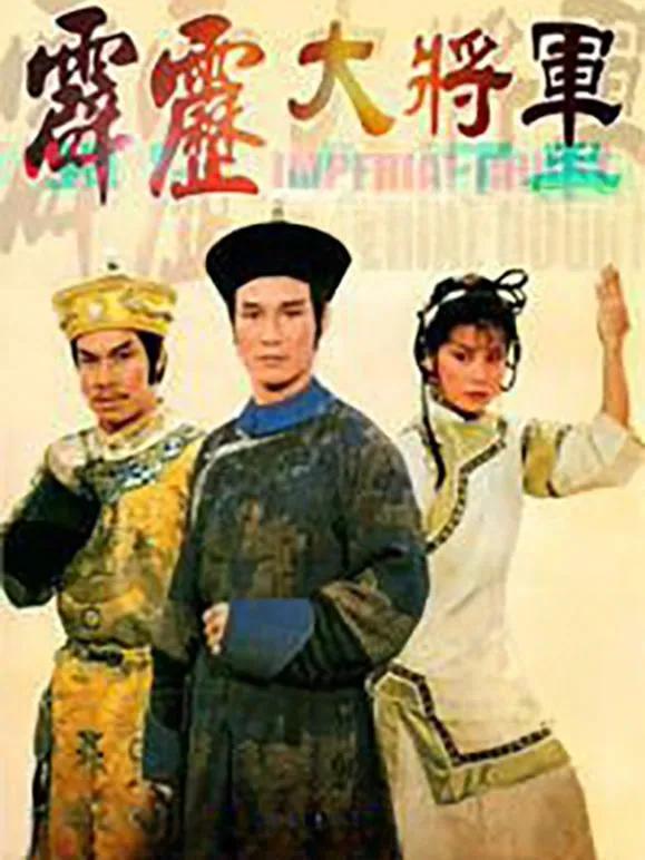 霹雳大将军海报