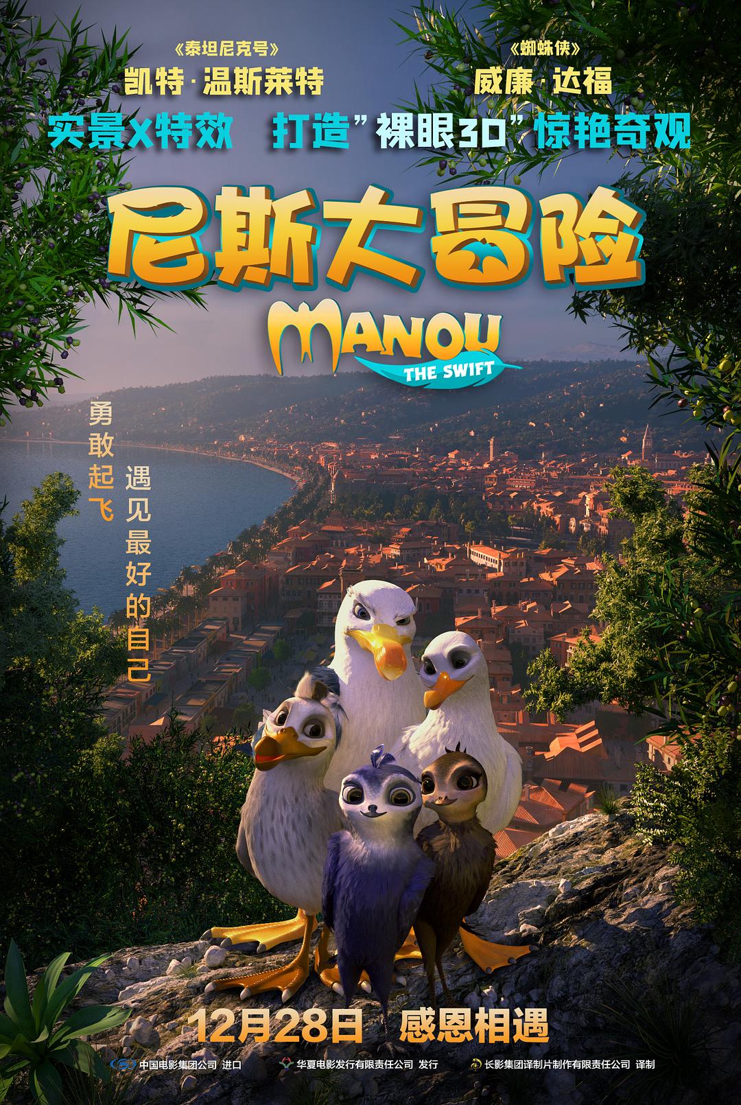 尼斯大冒险海报