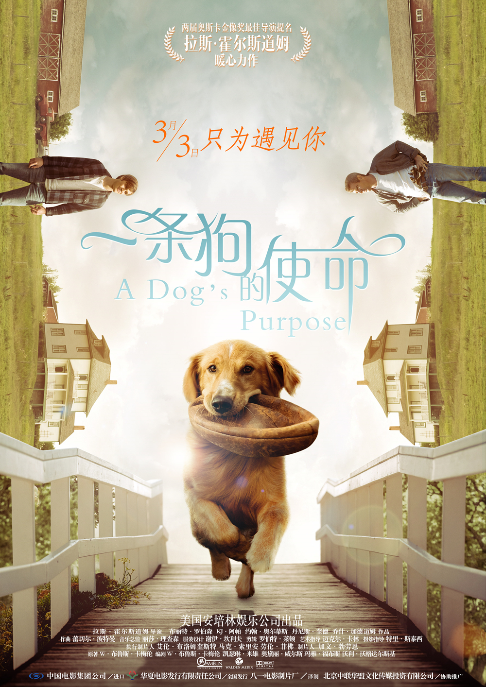 一条狗的使命海报