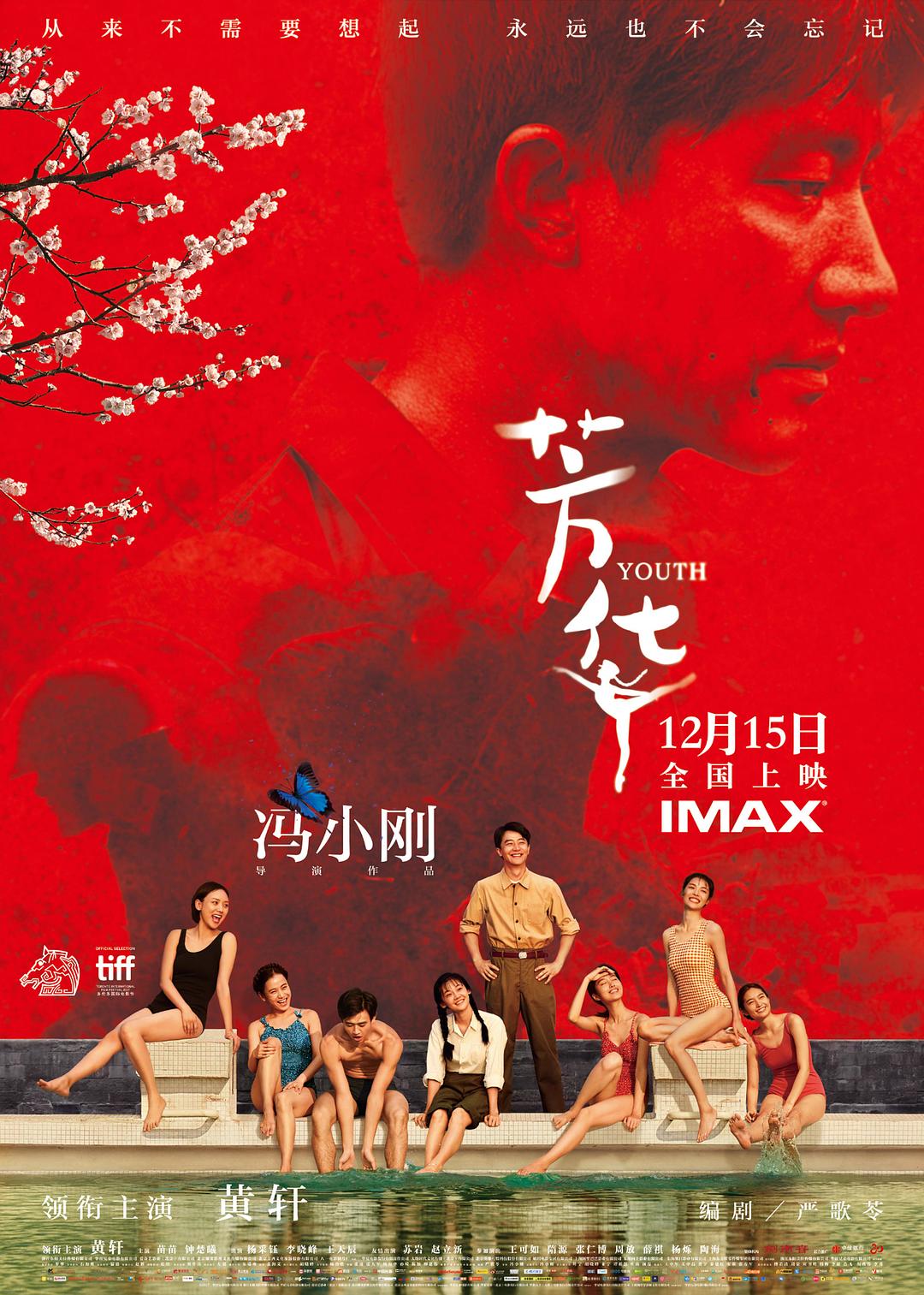 芳华海报