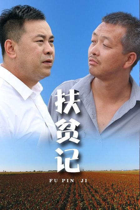 扶贫记海报